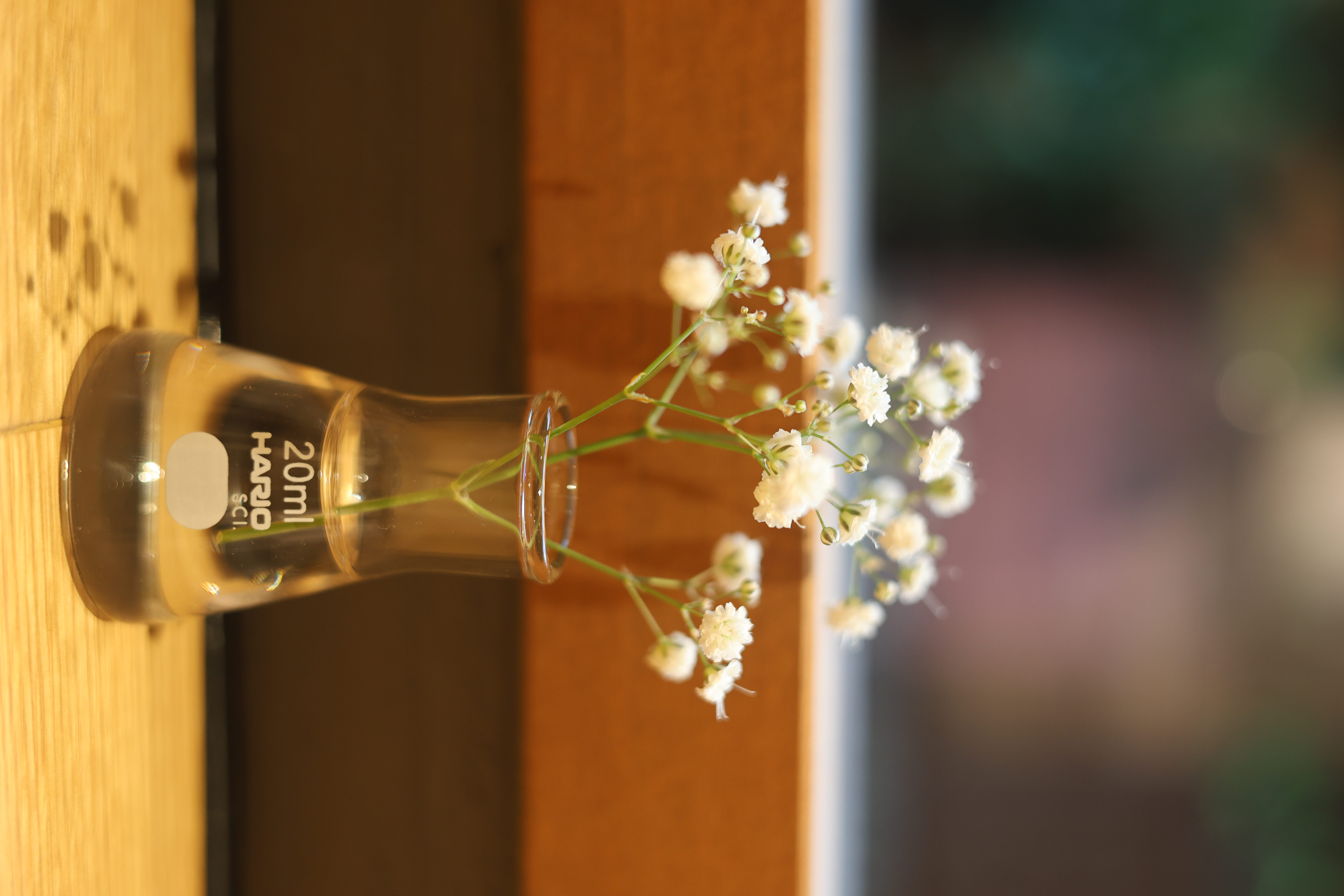 Photography by Cesar Aguirre